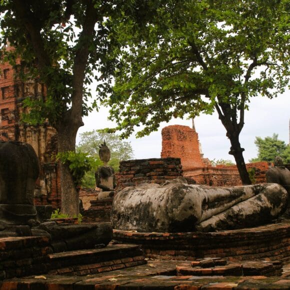 green trees near the temple