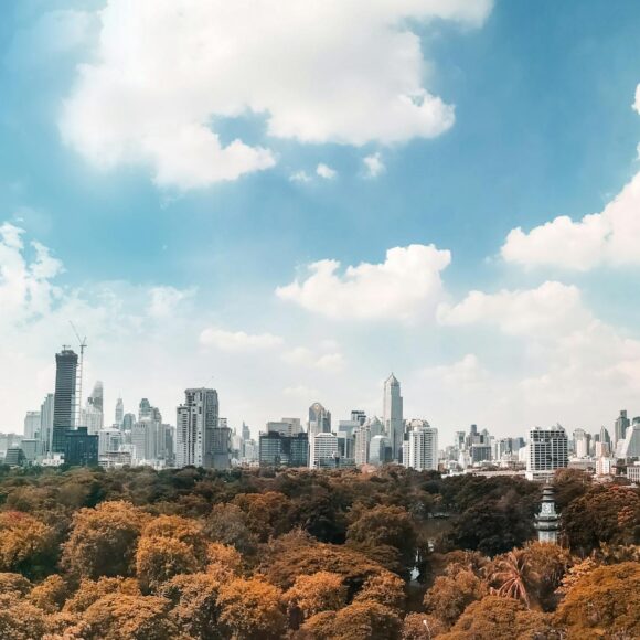 brown trees under white and blue cloudy sky